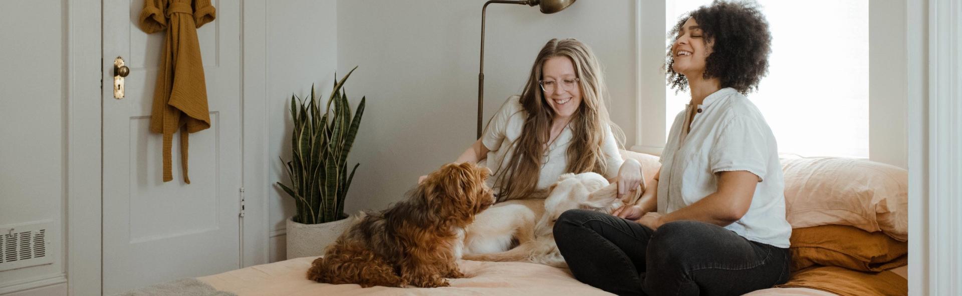 Encuentra un hogar para ti y los tuyos en un alquiler con viviendas nuevas, garaje y piscina