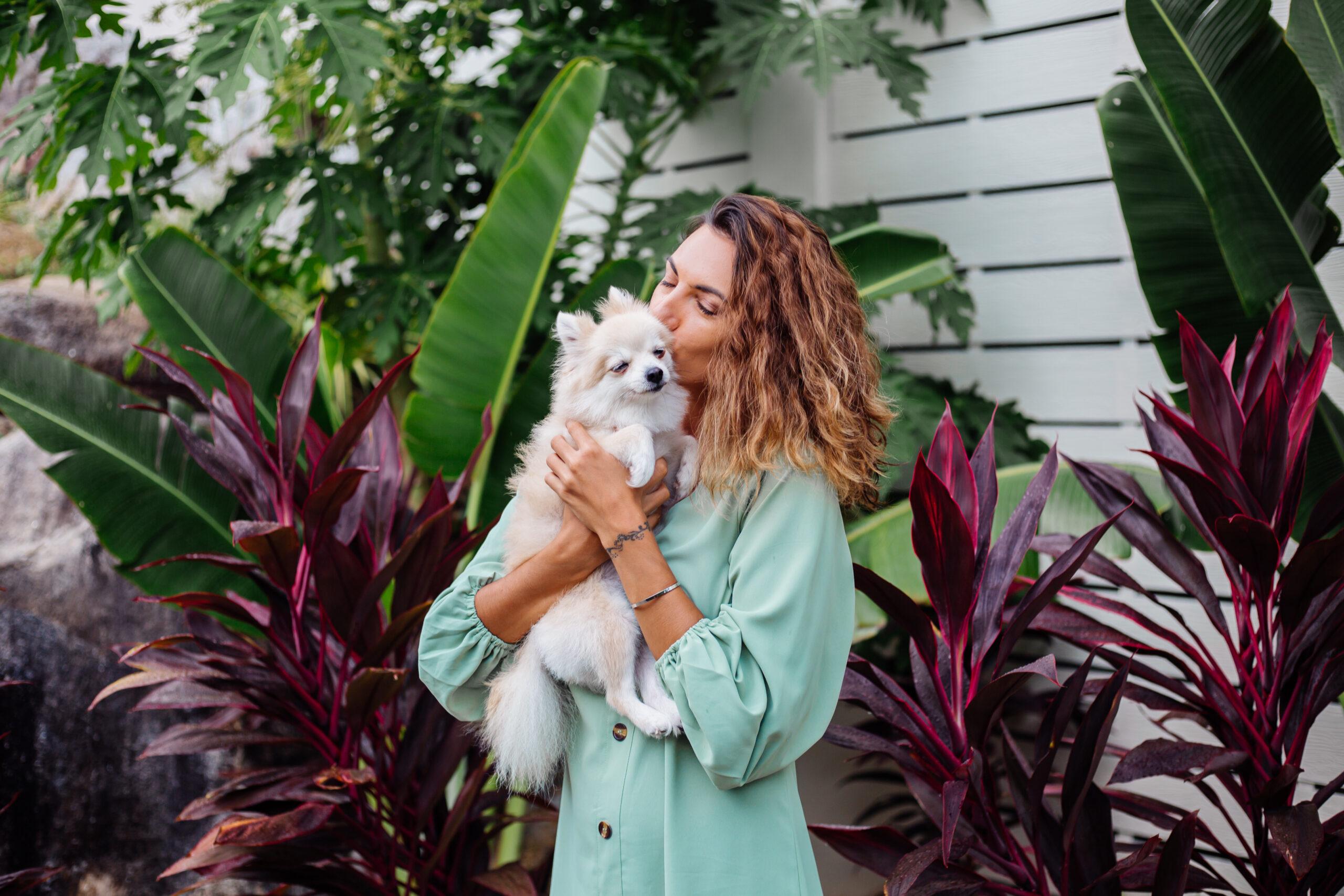 ¿Cómo cuidar tus mascotas y plantas en verano?